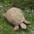 thumbnail image 1 of Campania International Turtle Cast Stone Garden Statue, 1 of 1