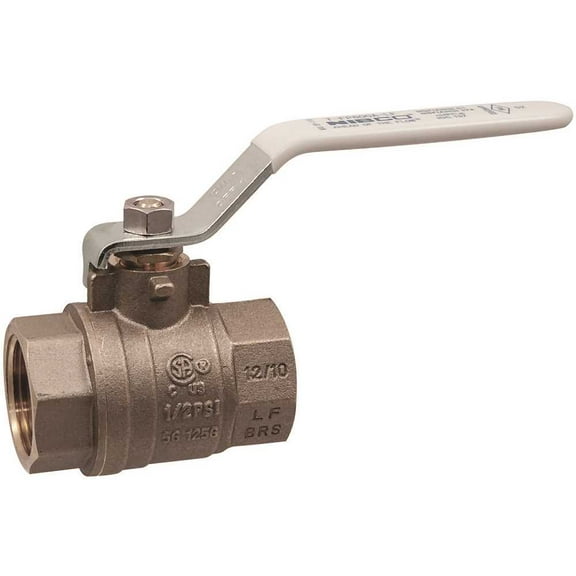 NIBCO TFP600ALF1 1 in. Brass Lead Free FIP Ball Valve