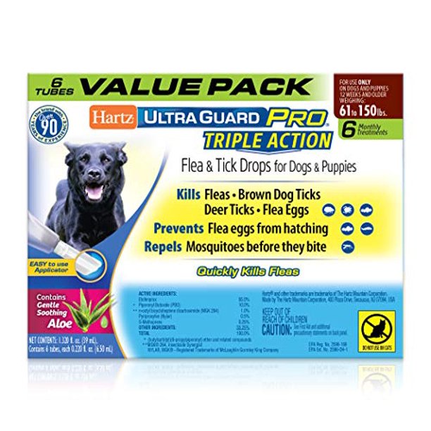 Does Fairy Liquid Kill Dog Fleas