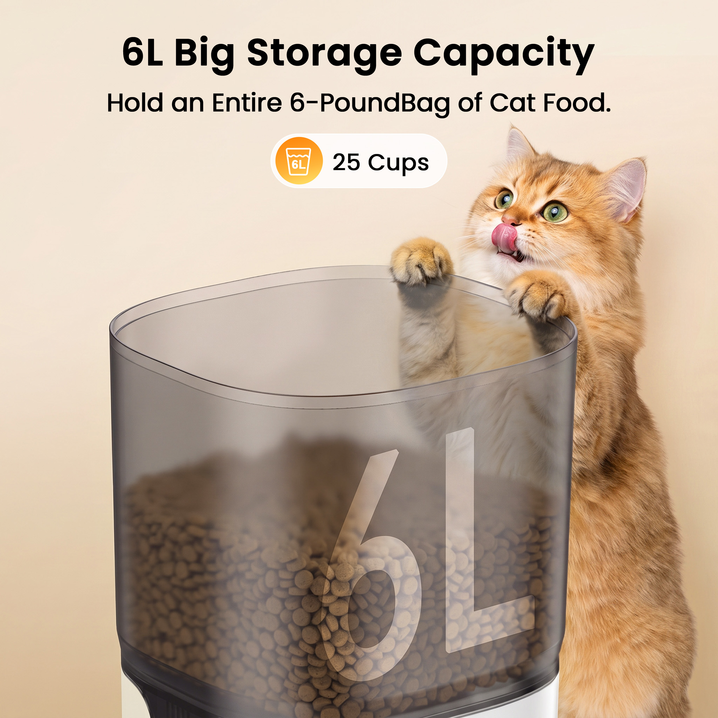Oneisall Automatic Cat Feeder with Camera, 6L, White photo 5
