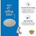 thumbnail image 3 of AIR-Precious Cat Ultra Cat Litter, 18 lb, Multi-Colored, 3 of 4
