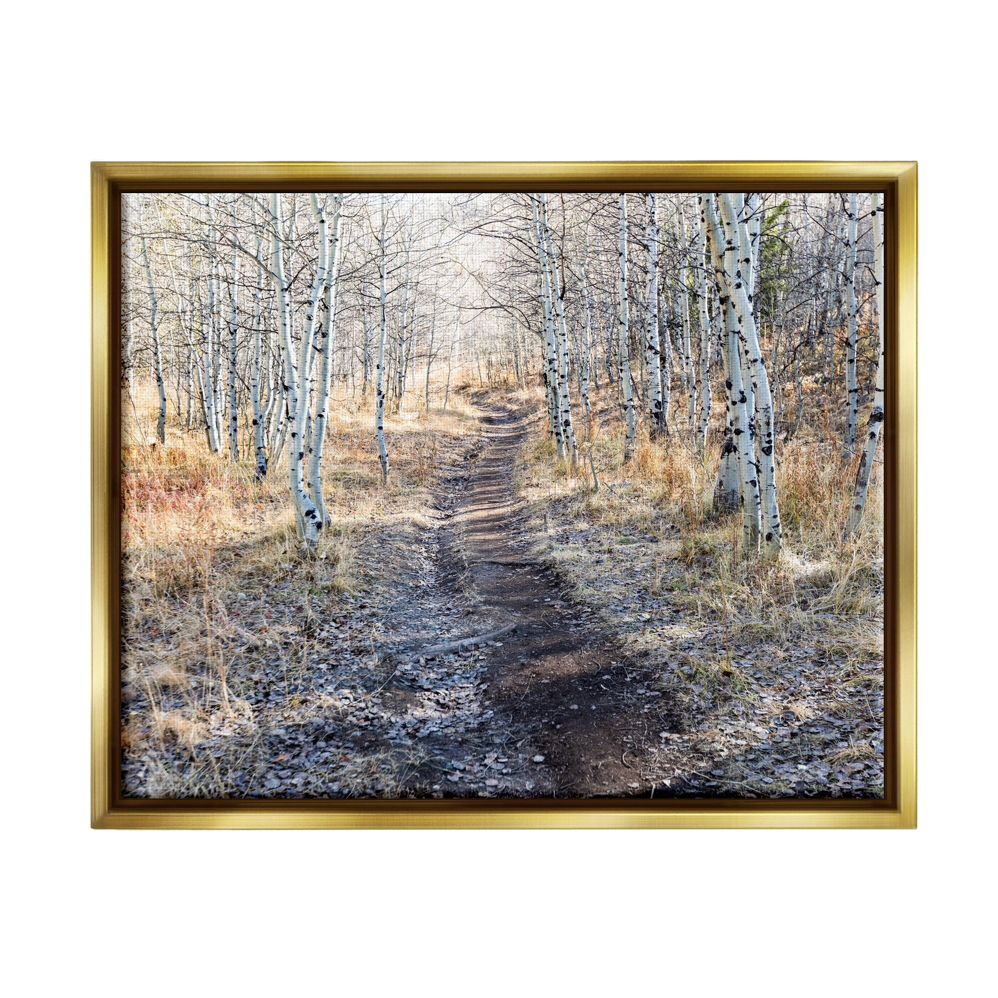Stupell Industries Dirt Path Between Birch Tree Forest Woodland Scene Photograph Metallic Gold Floating Framed Canvas Print Wall Art, Design by Steve Smith