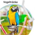 thumbnail image 2 of Bird water dispenser, birdhouse filler bird water injector, cage accessories, 2 of 5