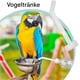 thumbnail image 2 of Bird water dispenser, birdhouse filler bird water injector, cage accessories, 2 of 5