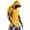 Yellow, variant on Shirt for Men Fashion Designer T Shirts for Men Men's T Shirts Long Sleeved Tops Large Tall Shirts for Men T Shirts Men Pack Men T Shirts Fashion Unisex T Shirt Size Small Mens Tops T Shirt Men