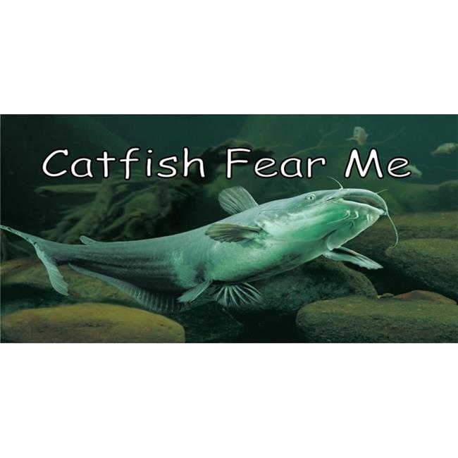 212 Main LPO3037 6 x 12 in. Catfish Fear Me Photo License Plate
