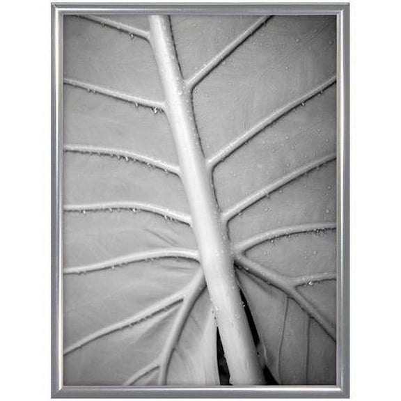 Classic Silver Aluminum POSTER matted 16x20 11x14 frame - 11x14