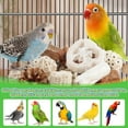 thumbnail image 3 of Caja de forrajeo natural Kyouki de Bird Toys para periquitos, etc., 3 of 7