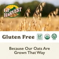 thumbnail image 5 of GF Harvest Gluten Free Organic Quick Oats, 32 Ounce Bag 32 Ounce Bag (Pack of 1), 5 of 7