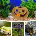thumbnail image 4 of unbranded Refugio Para Reptiles En Resina Con De Calabaza Marrón, 4 of 6