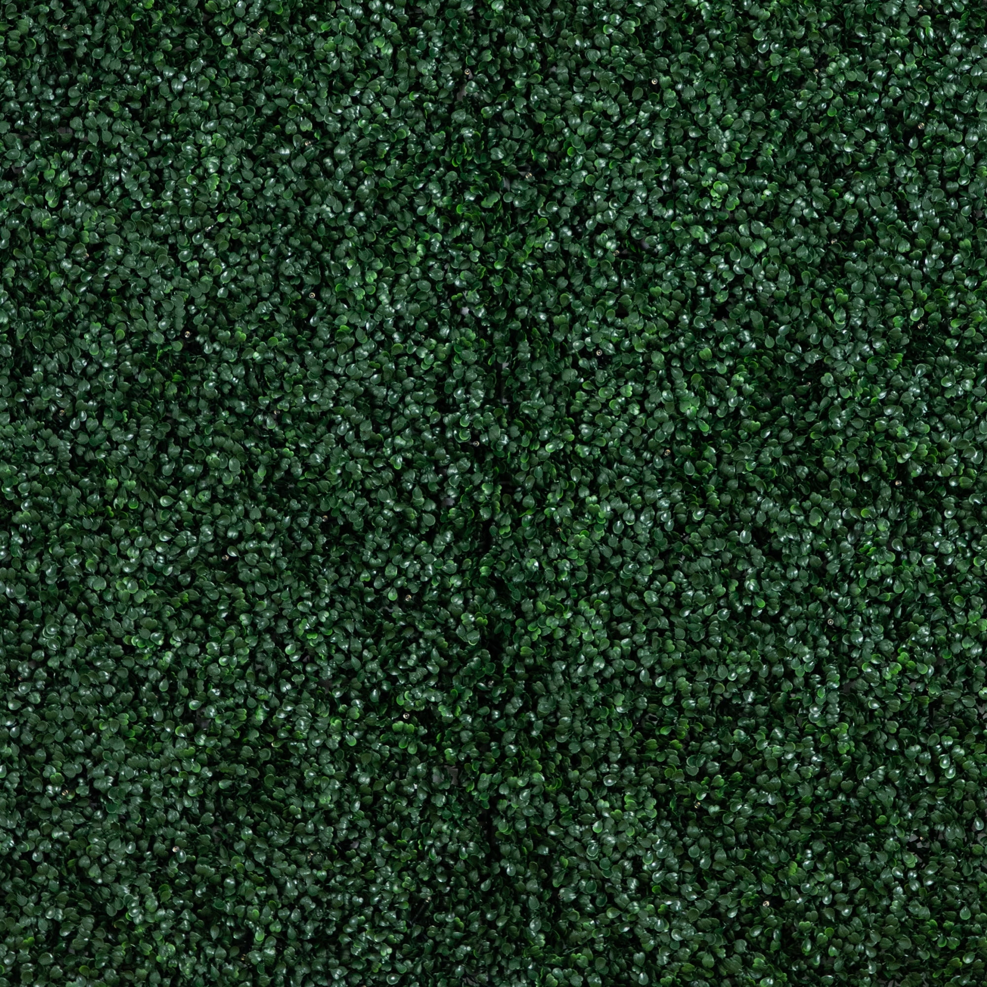 Nearly Natural 40in. x 40in. UV Resistant Boxwood Artificial Living Wall Panel with 100 Warm White LED Lights (Indoor/Outdoor)