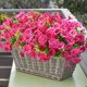 thumbnail image 2 of 12 paquetes de flores artificiales Ivydale Silk Morning Glory, 2 of 9