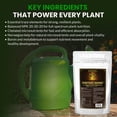 thumbnail image 3 of Humboldts Secret Everything Growing 20-20-20 Fertilizer - All Purpose Water Soluble Plant Food - Balanced NPK with Norwegian Kelp - For Lawns Gardens, Vegetables, Flowers & Indoor Plants - 25 lb, 3 of 10