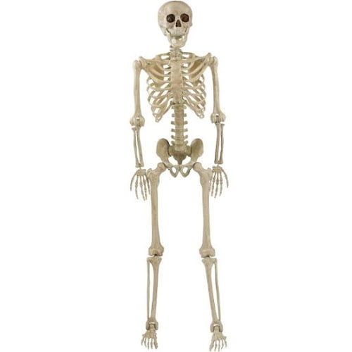 Life-Size Posable Skeleton, 5ft - Walmart.com