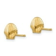 thumbnail image 2 of Real 14kt Yellow Gold Mini Scallop Shell Post Earrings; for Adults and Teens; for Women and Men, 2 of 3