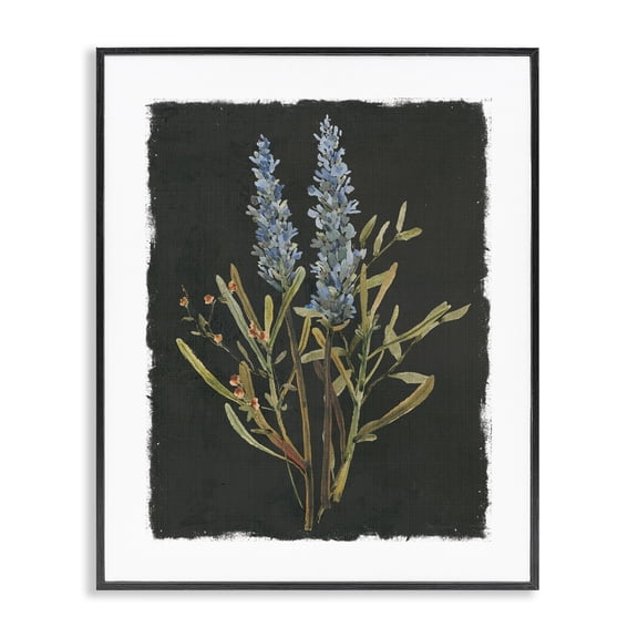 Stupell Industries Lavender Sprigs on Dark Background Black Framed Giclee Art, design by Carol Robinson