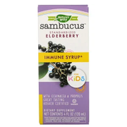 Nature's Way, Sambucus for Kids, Standardized Elderberry, Immune Syrup, 4 fl oz (120 ml)