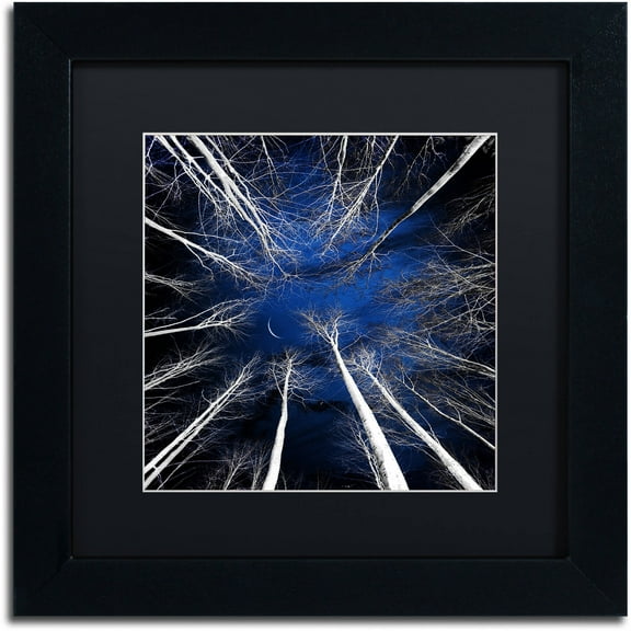 Trademark Fine Art "Renegades" Canvas Art by Philippe Sainte-Laudy Black Matte, Black Frame