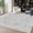 Beige, variant on Evitormill 2x3 Area Rug, Non Slip Boho Machine Washable Indoor Carpet for Living Room Bedroom, Beige