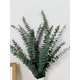 thumbnail image 5 of Namzi -a 10 tallos secos de eucalipto 16-24 pulgadas Suspensión de ducha de eucalipto genuino 100% hecho de hojas frescas de eucalipto, boda, hogar, decoración de granja Decoración de primavera de, 5 of 5