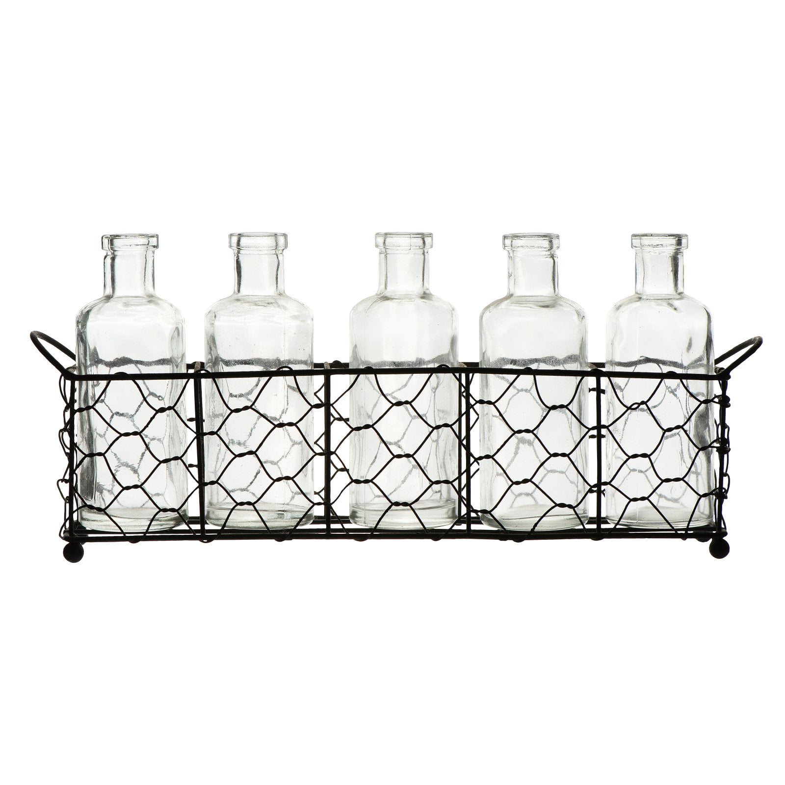 3R Studios 5 Glass Bottle Vases with Wire Holder