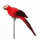 thumbnail image 4 of Loro de plumas de imitación, verde, decoración de jardín, pájaro, loro de acero dorado, pájaro, pájaro de plumas, clip de pájaro de espuma, decoración de pájaros, 4 of 8