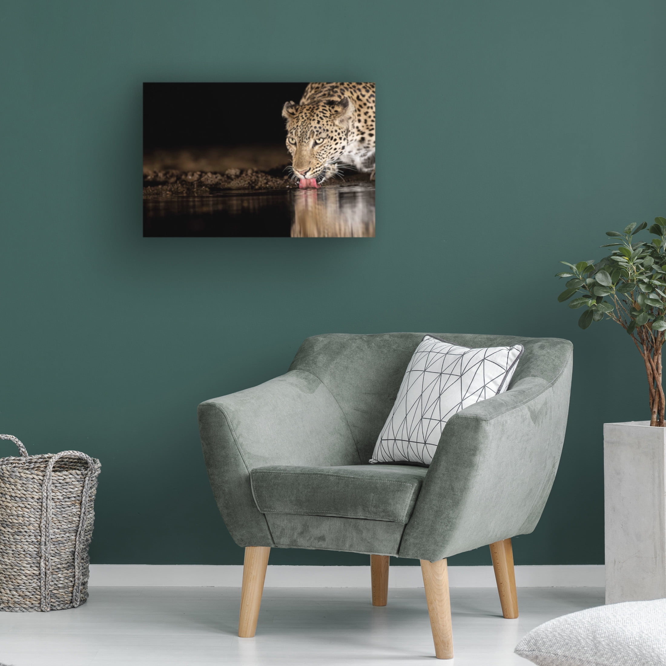 Canvas Wall Art - Amnon Eichelberg 'Eye Of The Tiger' Wall Art for Living Room, Bedroom, or Office D?cor by Trademark Fine Art - 19 x 12 Inches