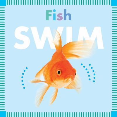 Pre-Owned Fish Swim (Board book) 1681521989 9781681521985