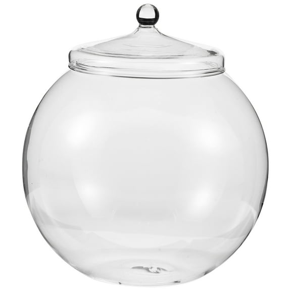 CYLINDSOME Micro landscape Ecological Bottle Plant Terrarium Holder Glass Bottle Container