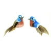 Touch of Nature 20921 Eastern Blue Bird, 1-1/4-Inch