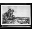 thumbnail image 2 of Historic Framed Print, [Bringing home the cattle, coast of Florida], 17-7/8" x 21-7/8", 2 of 9