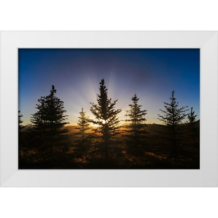 Jones, Adam 14x11 White Modern Wood Framed Museum Art Print Titled - Pine trees silhouetted at sunset-Grand Teton National Park-Wyoming