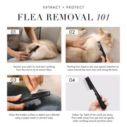 Tweezerman Pet Pet Precision Single Row Flea Comb