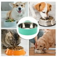 thumbnail image 4 of Unique Bargains 1 Pc Thickening Hanging Dog Bowl for Indoor and Outdoor Plastic Stainless Steel Green Small, 4 of 4