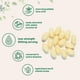 thumbnail image 3 of Suplemento de microingredientes: vitamina B1, benfotiamina, 600 mg, 3 of 6