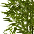 thumbnail image 3 of HomeStock Vintage Vogue 5Ft. Bamboo Tree Uv Resistant (Indoor/Outdoor), 3 of 5