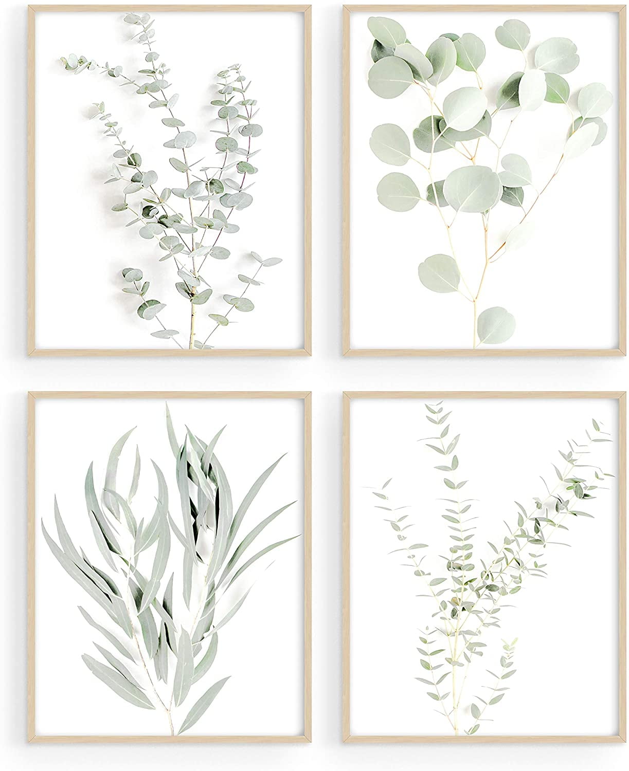 Botanical Plant Art Prints - Set of 4 Plant Wall Decor Prints Floral Kitchen Leaves Wall Art Boho Eucalyptus (UNFRAMED) (8x10) - Walmart.com