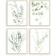 thumbnail image 1 of Láminas de arte de pared con plantas botánicas: juego de 4 láminas decorativas de pared con plantas, flores, hojas, arte de pared bohemio, hojas de eucalipto (sin marco) (20 x 25 cm), 1 of 5
