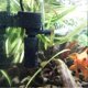 thumbnail image 5 of 2025 Latest Model in 1 3W Mini Aquarium Fish Tank Filter Water Purifier, 5 of 5