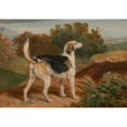 thumbnail image 2 of James Ward 24x18 Black Ornate Framed Double Matted Museum Art Print Titled: Ravager, One of the Lambton Hounds (1835), 2 of 5