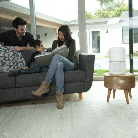 Levoit - Pet Care True HEPA Air Purifier - Gray