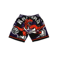 thumbnail image 1 of Raptors Retro Full Embroidered Zipper Pocket Pants, Basketball Dense Embroidered Shorts, Basketball Training Pants-SinKeeU, 1 of 5