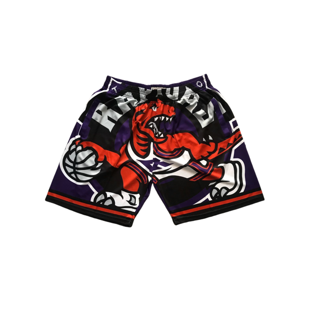 Raptors Retro Full Embroidered Zipper Pocket Pants, Basketball Dense Embroidered Shorts, Basketball Training Pants-SinKeeU