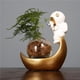 thumbnail image 4 of Maceta De Cristal De Mesa, Decoración Hidropónica Decorativa, Adorno Hidropónico Con Jarrón Redondo Eigraketly HA025221-01, 4 of 6