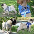 thumbnail image 4 of Cat Harness, Cat Harness Escape Proof, 4 of 4