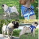 thumbnail image 4 of Cat Harness, Cat Harness Escape Proof, 4 of 4