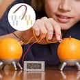 thumbnail image 5 of SHISUYAN 1 Set Scientific Experiment Fruit Battery Student DIY Fruit Battery for School, 5 of 5