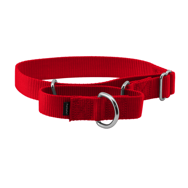 PetSafe Martingale Dog Collar, Medium, 1 in, Red