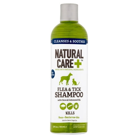 Natural Care 12 oz antipuces Shampooing