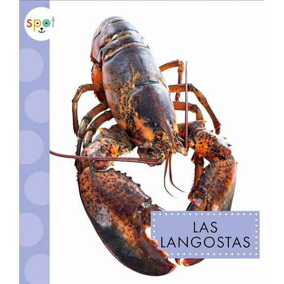 Animales del océano: Las langostas (Paperback)